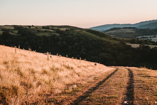 Dirt Road on a Hill 