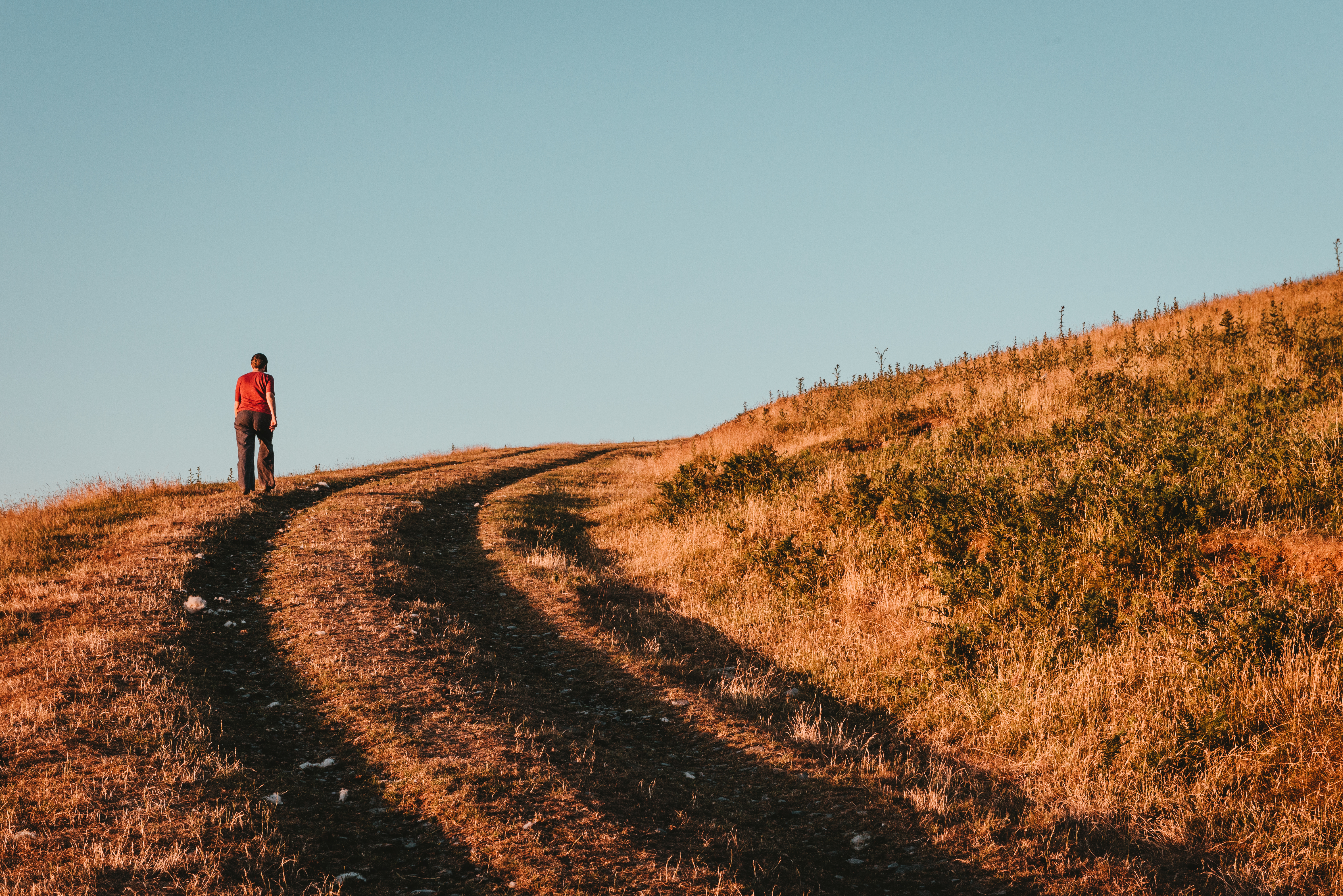 The lifelong journey of personal development - Meer — Photo by Gordon Plant on Pexels