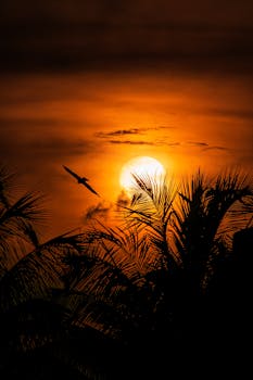 A striking silhouette of palm trees with a bird flying against a vibrant sunset sky.
