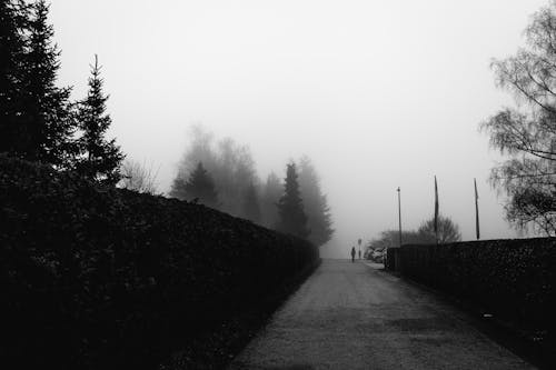 Free Road in Foggy Landscape Stock Photo