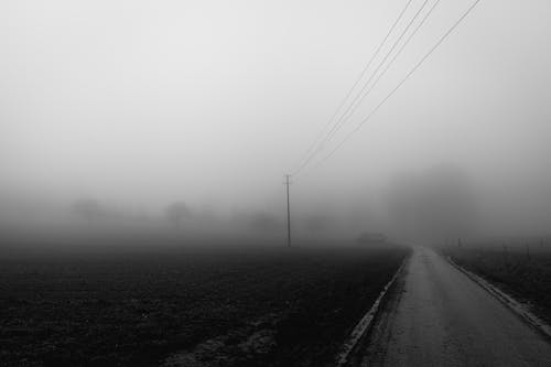 A Grayscale Photo of an Empty Road Near the Field on a Foggy Weather