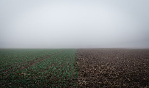 Photos gratuites de agriculture, brouillard, brume