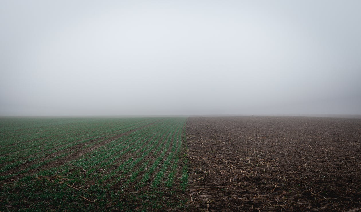 Imagine de stoc gratuită din activități agricole, agricultură, câmp