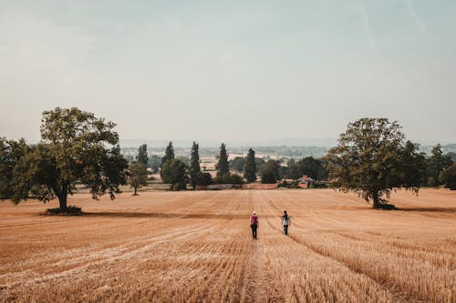 Two People Walking in a Field 