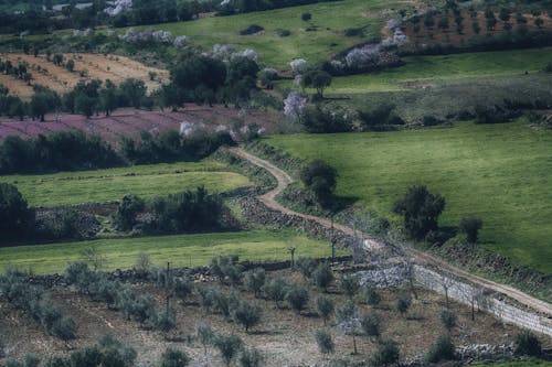 Photos gratuites de agriculture, campagne, champs