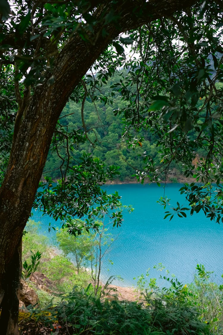 View On A Blue Water