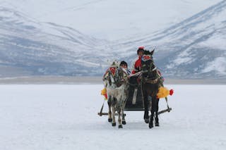 Two People on a Horse Drawn Sleigh 