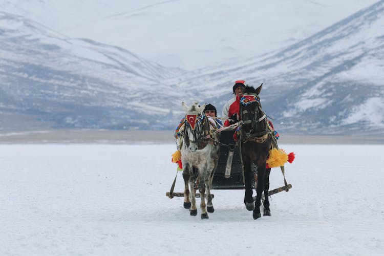 Two People On A Horse Drawn Sleigh 