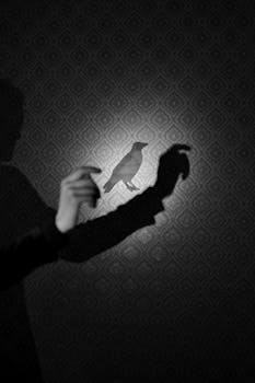 A hand creates a crow shadow on a patterned wall, creating an artistic silhouette.