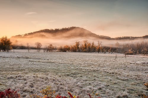 Foggy Winter Landscape