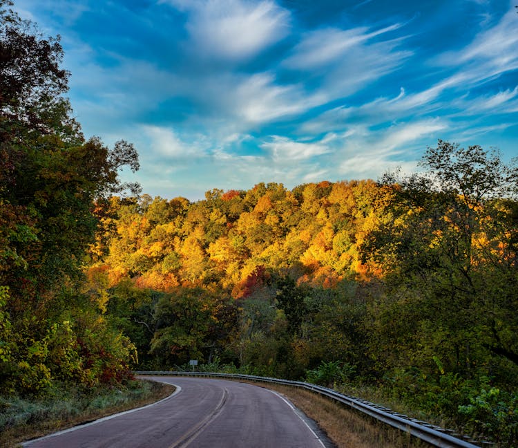 A Concrete Road Between Trees Under The Blue Sky And White Clouds