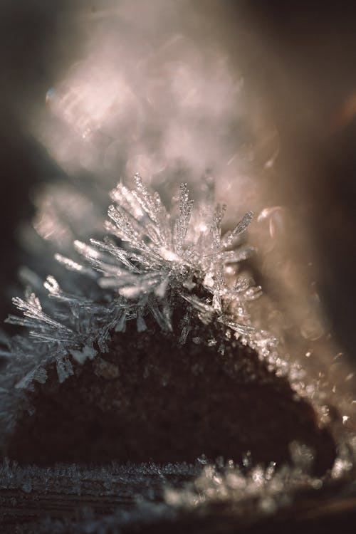 Ice Crystals in Close Up Shot