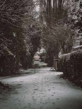 Serene winter scene of a snowy street in Greater Manchester, England with falling snow and tree-lined path.