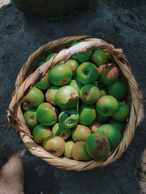 Free A basket filled with vibrant green apples placed outdoors, captured from above. Stock Photo