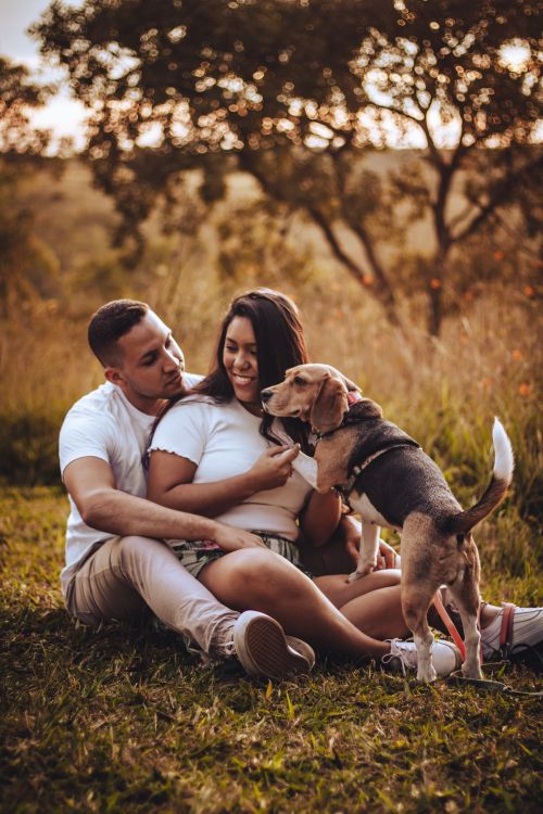 Free A joyful couple sitting in a sunny field, embraced with their playful dog. Stock Photo
