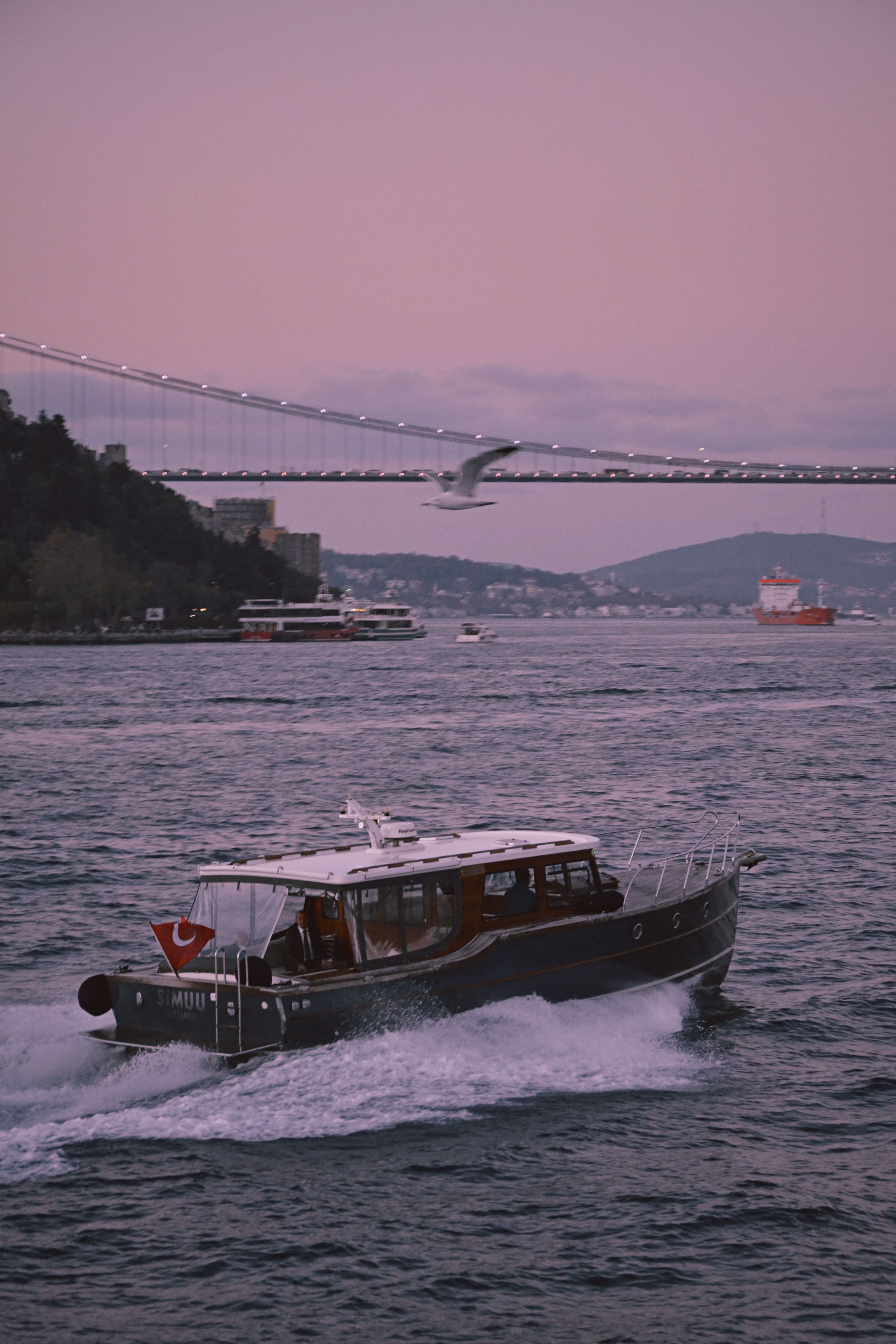 Motorboat on Bosphorus at Dusk · Free Stock Photo