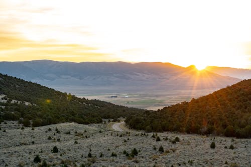 Foto d'estoc gratuïta de a l'aire lliure, arbres, capvespre