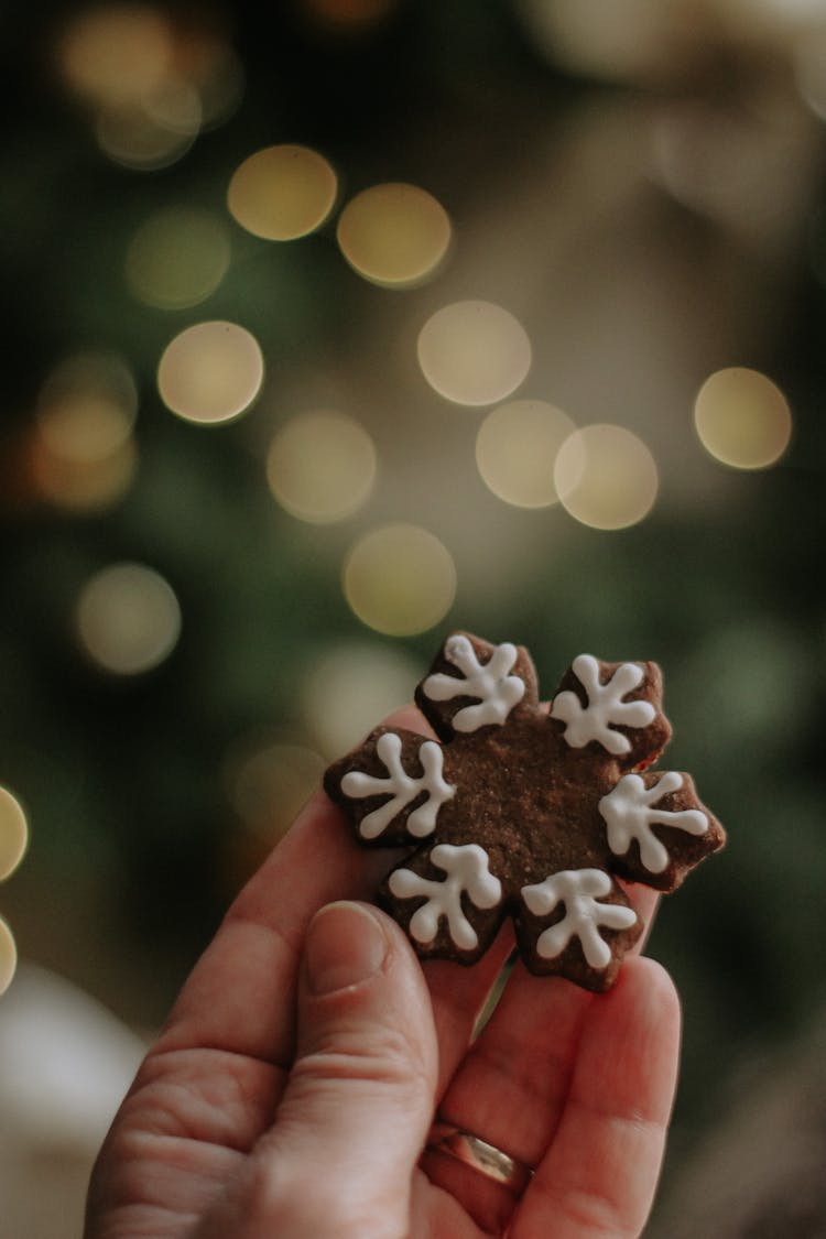 Hand Holding Christmas Cookie 