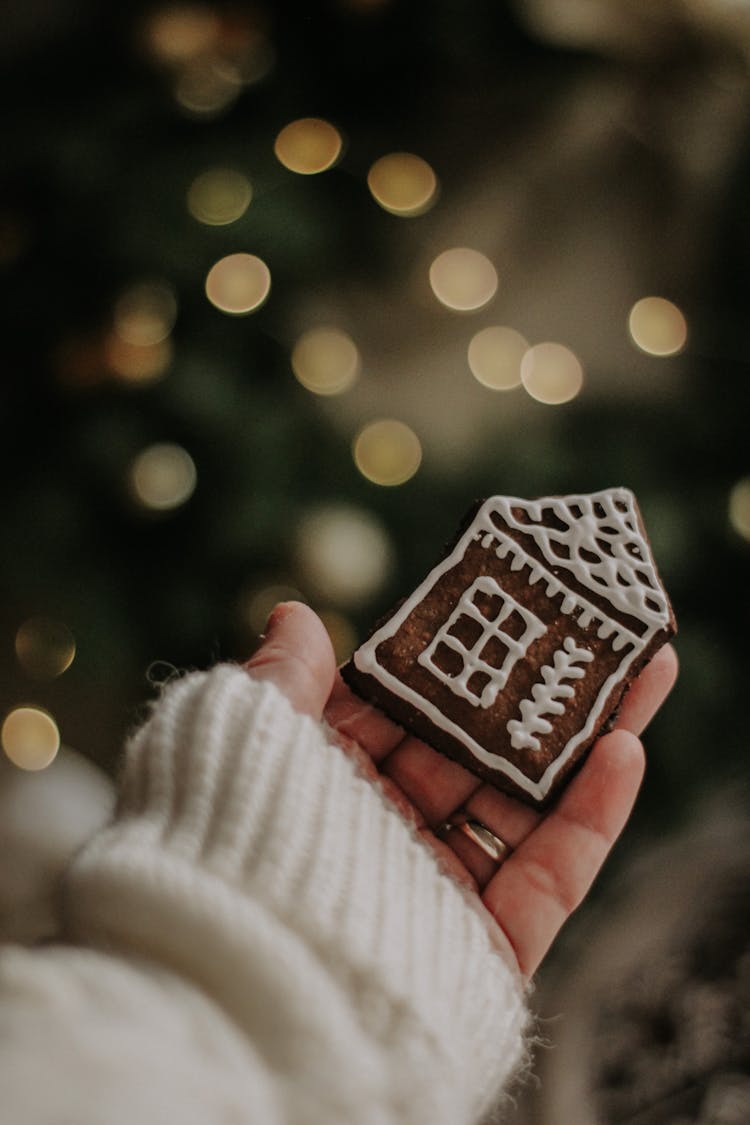 Hand Holding Christmas Cookie With Icing