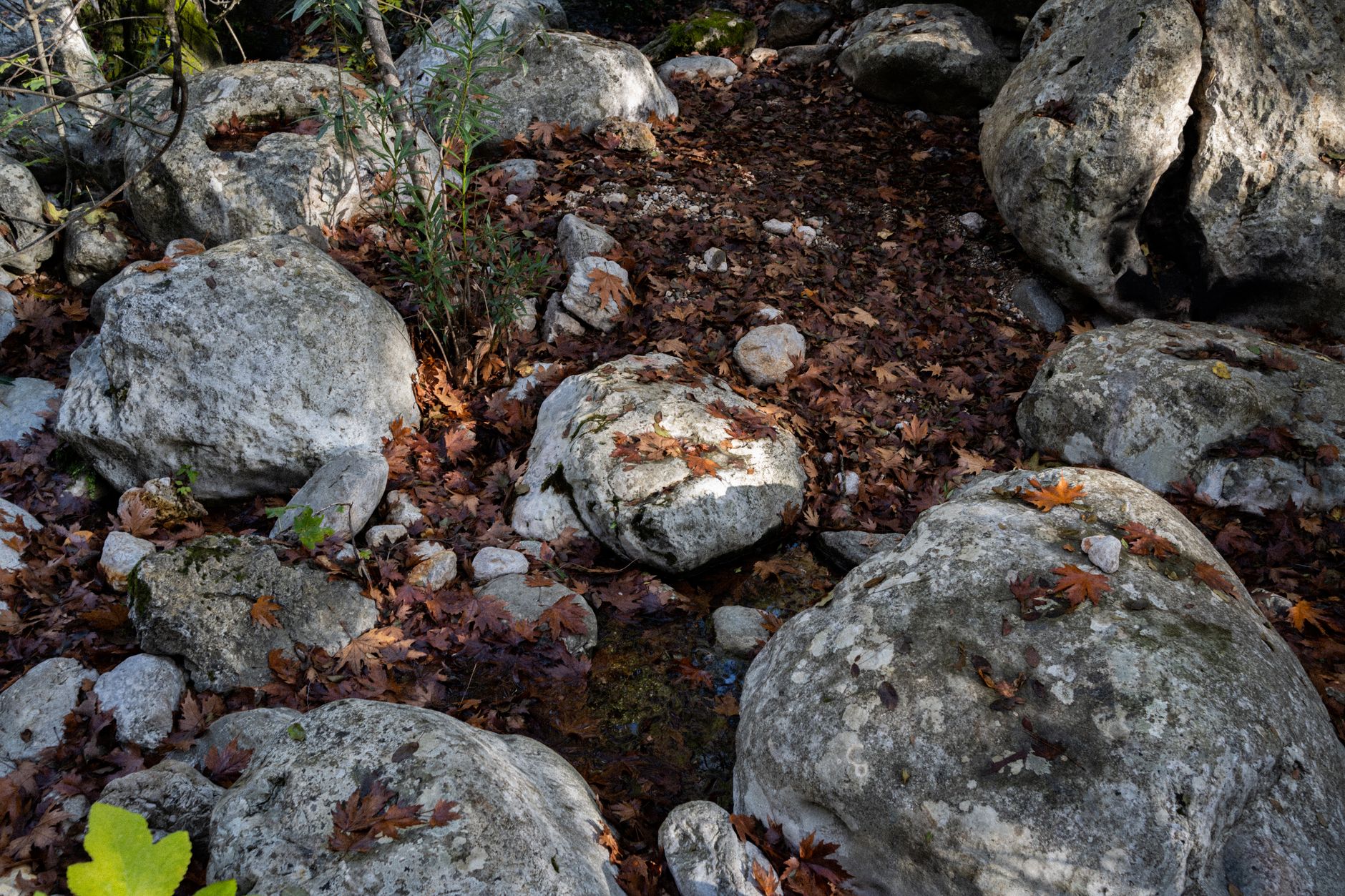 15 Texas State Parks That Feel Like Big Bend Without the 6-Hour Drive 6 Explore a serene landscape with fallen leaves and natural boulders in an autumn setting.