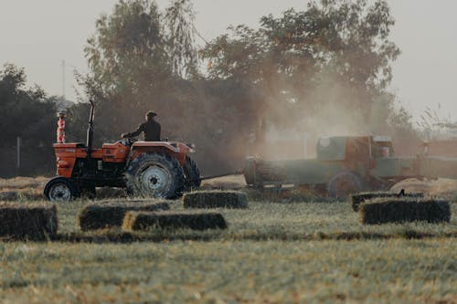 Základová fotografie zdarma na téma farmář, hřiště, muž