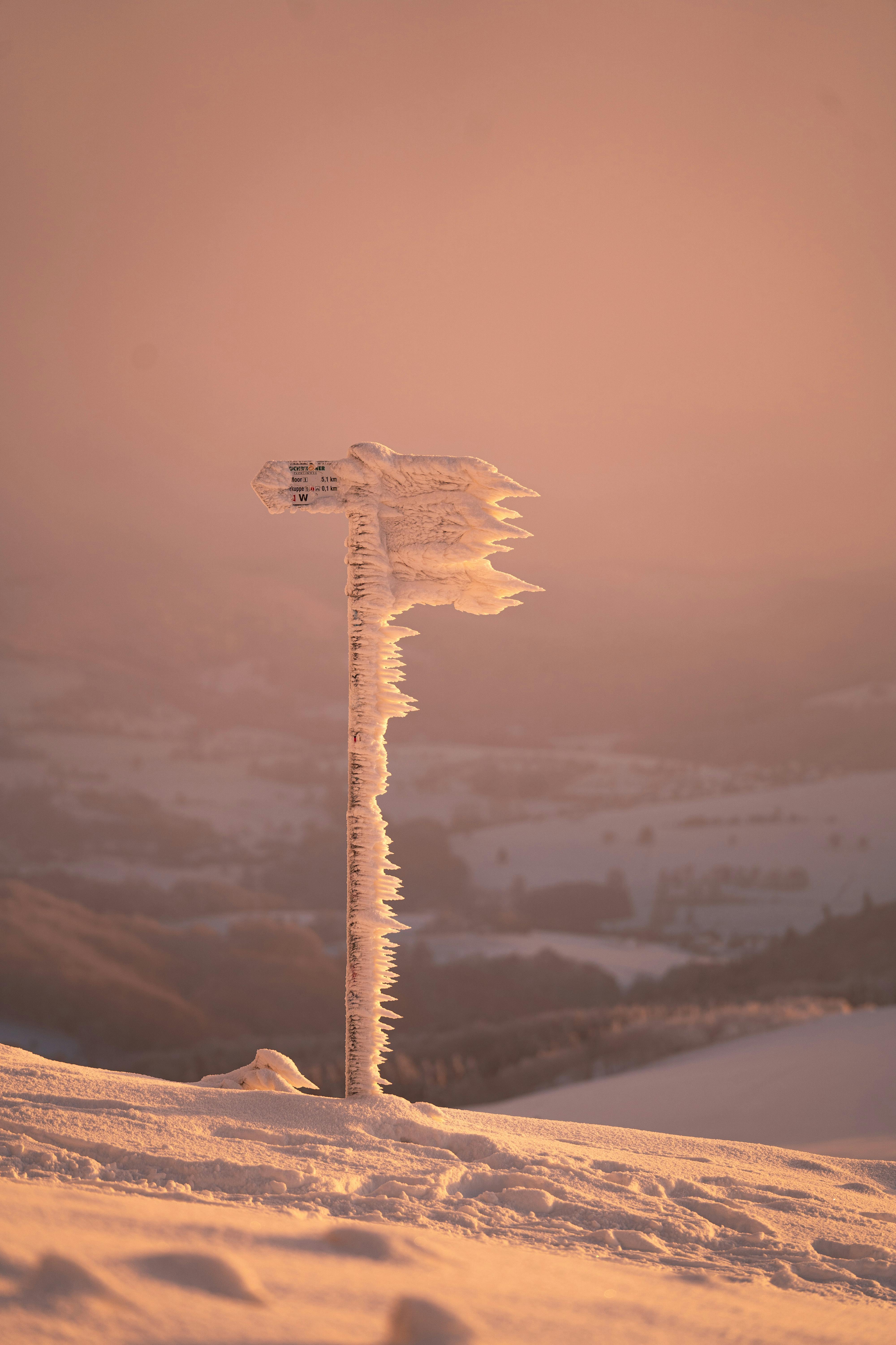 Icy signpost stands in snow against a scenic winter backdrop with soft peach tones.