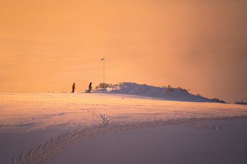 人, 冬季, 天性 的 免费素材图片