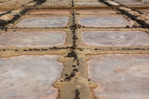 Aerial shot of geometric salt pans in Lanzarote, showcasing natural salt harvesting techniques.