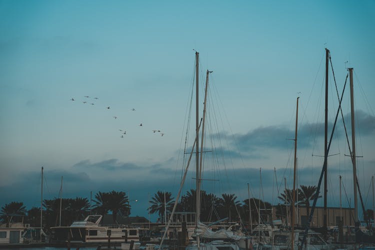 Sailboats Docked In A Marina