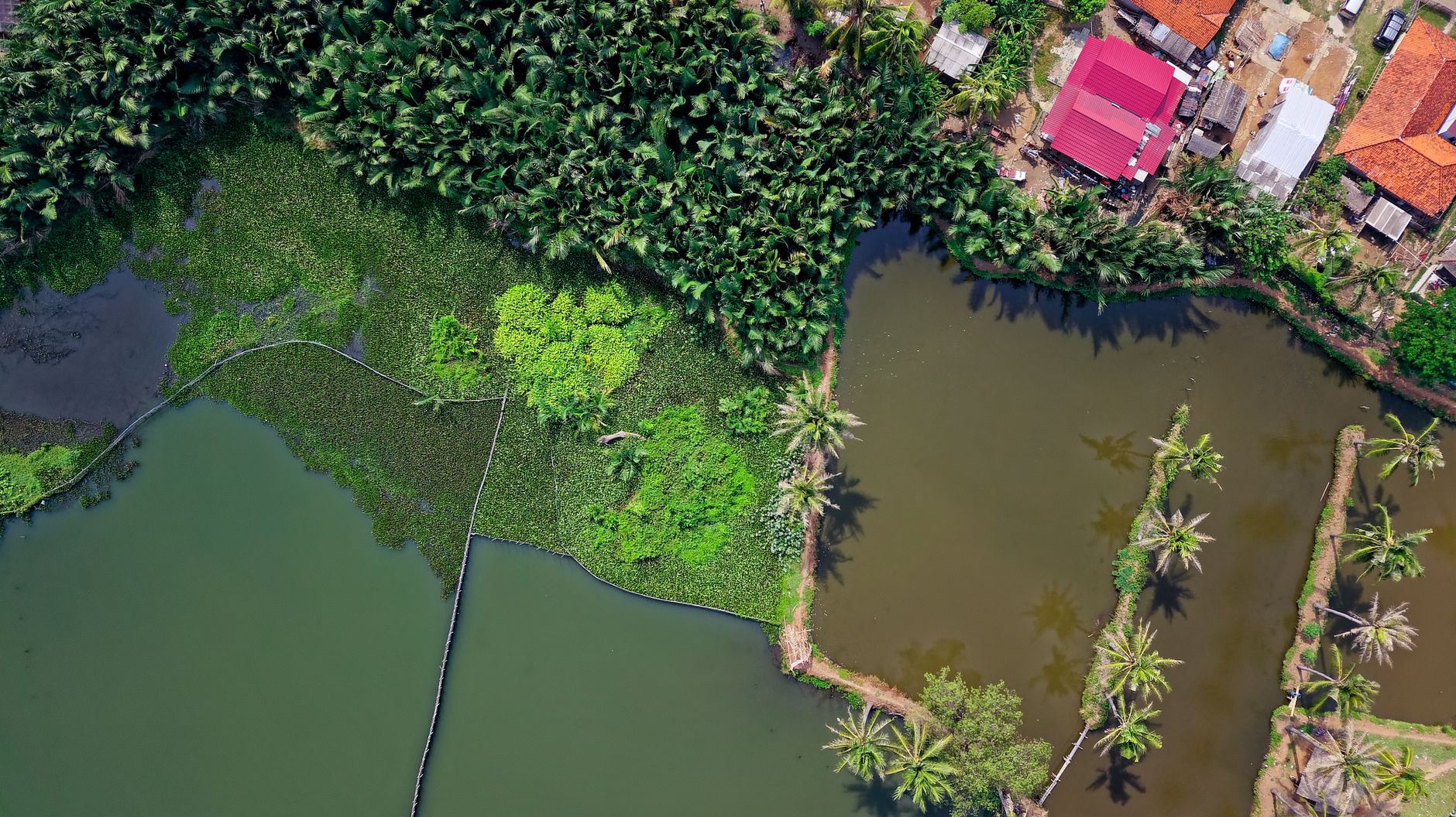 Featured image for the article: Noida Pushkarni Pond project in Sorkha Jahidabad due in four months