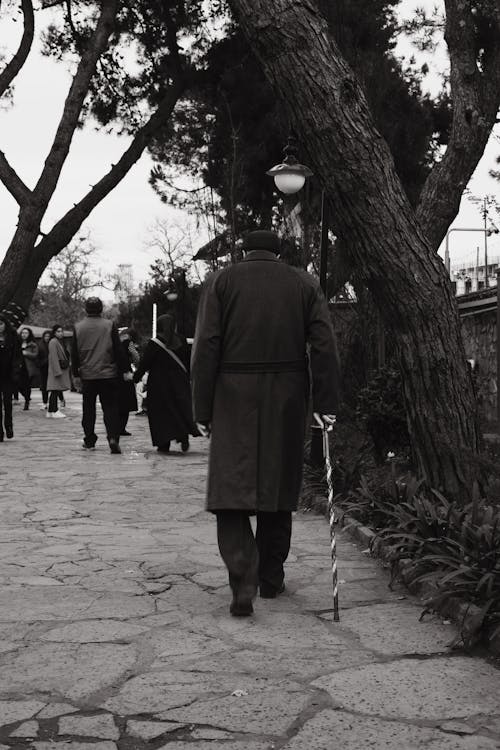 Immagine gratuita di bianco e nero, camminando, canna