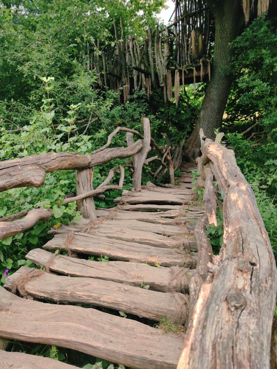 Free A rustic wooden footbridge winding through lush greenery, creating a serene forest scene. Stock Photo