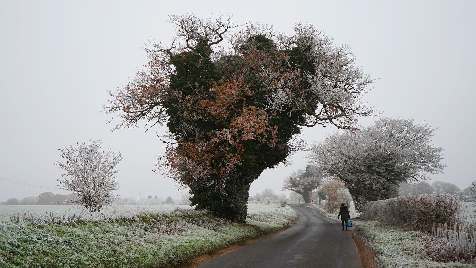Cycling