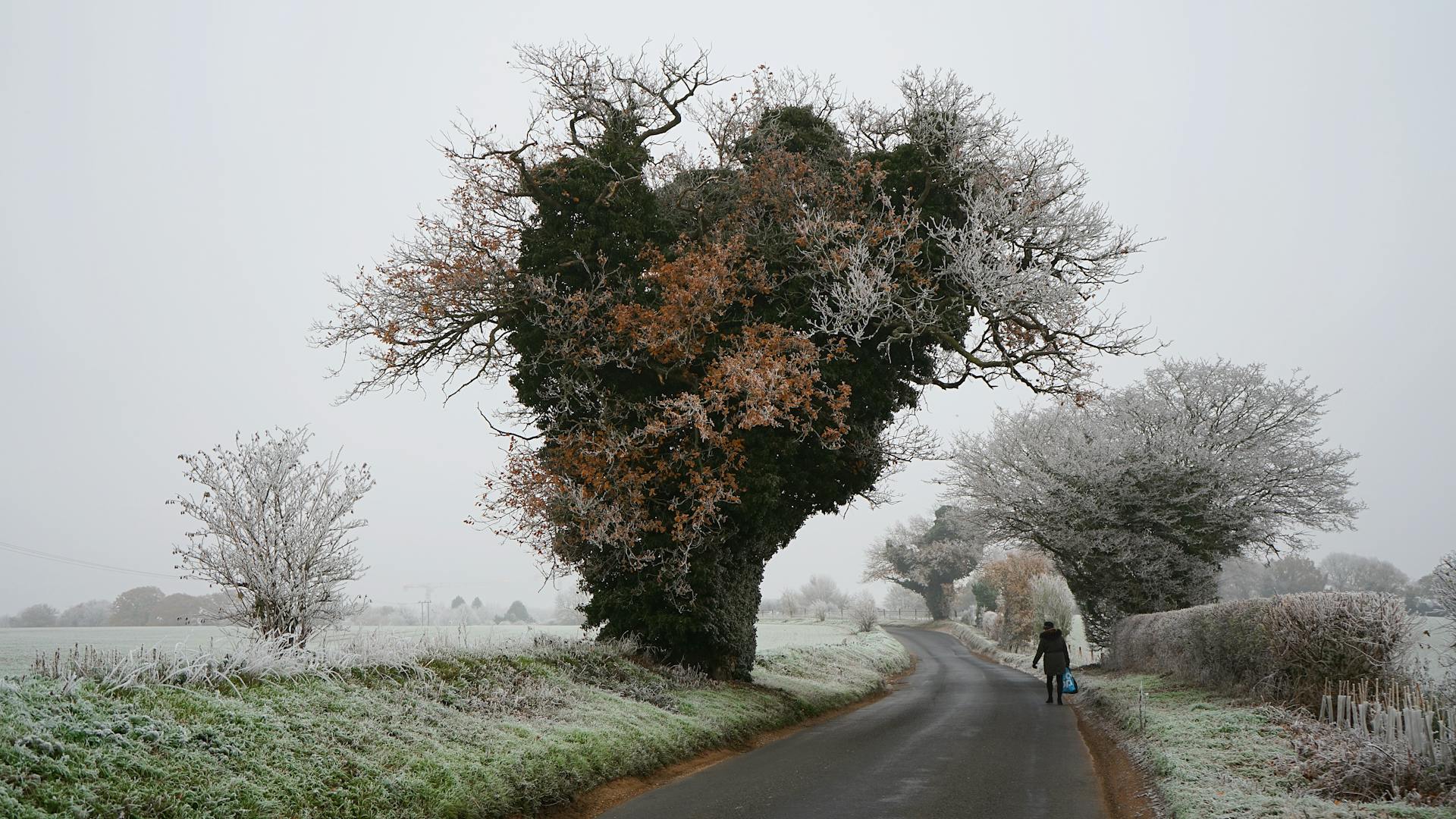 English Countryside