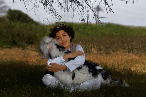 Free A young boy sits on grass outdoors, lovingly hugging a goat under a tree's shade. Stock Photo
