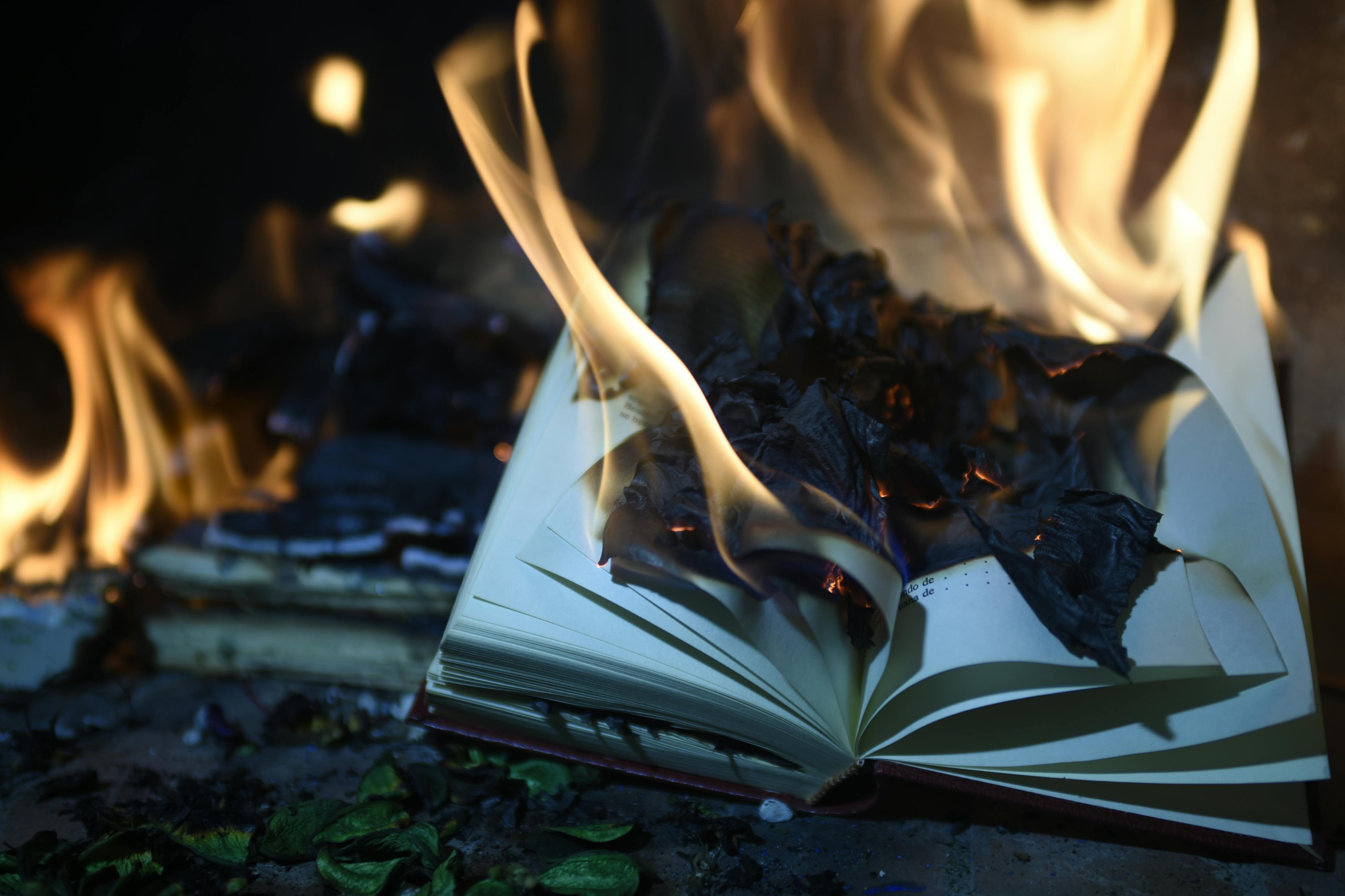 burning book art