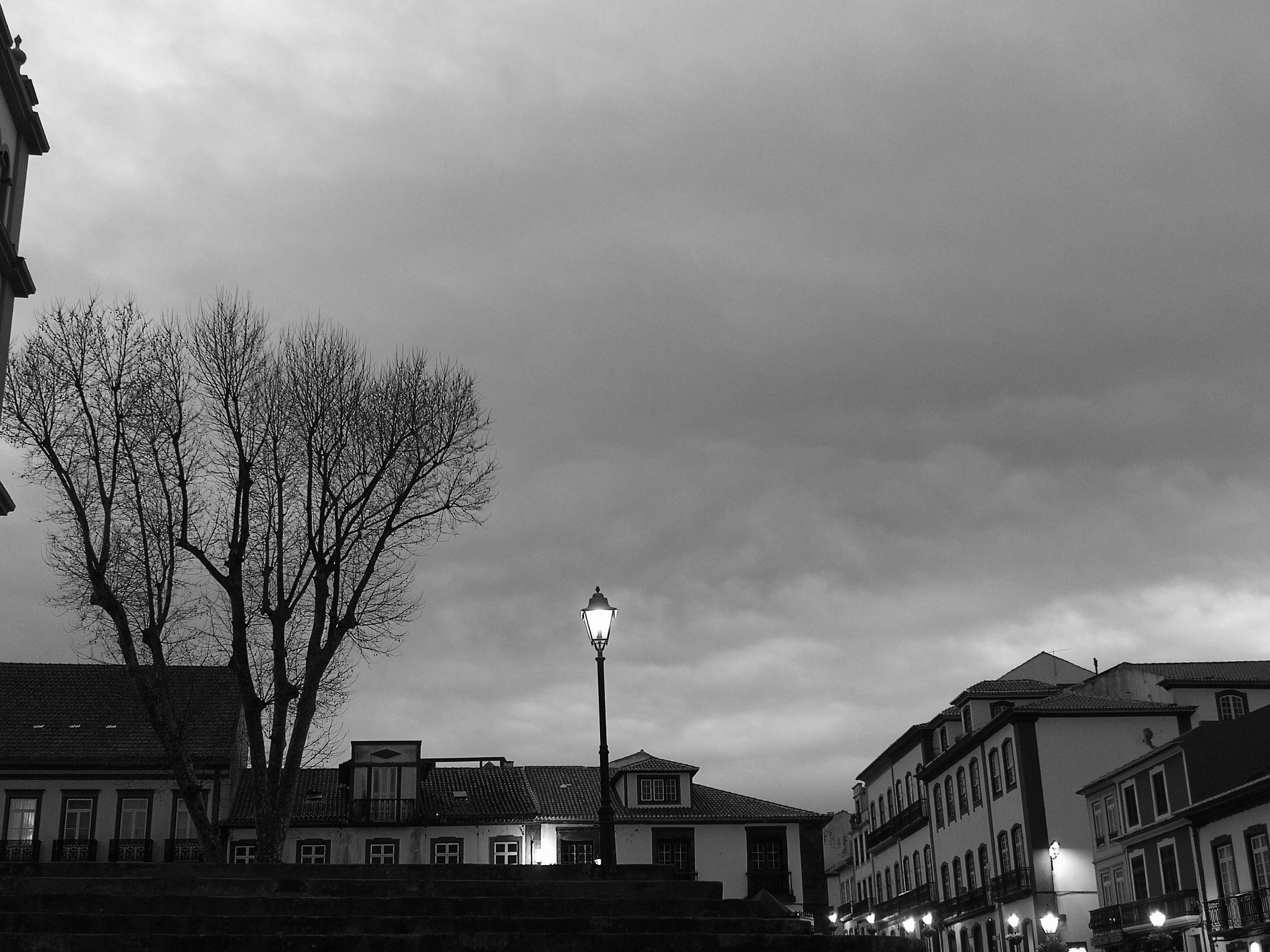 A horrifying, giant insect-like monster with sharp claws, ready to attack.