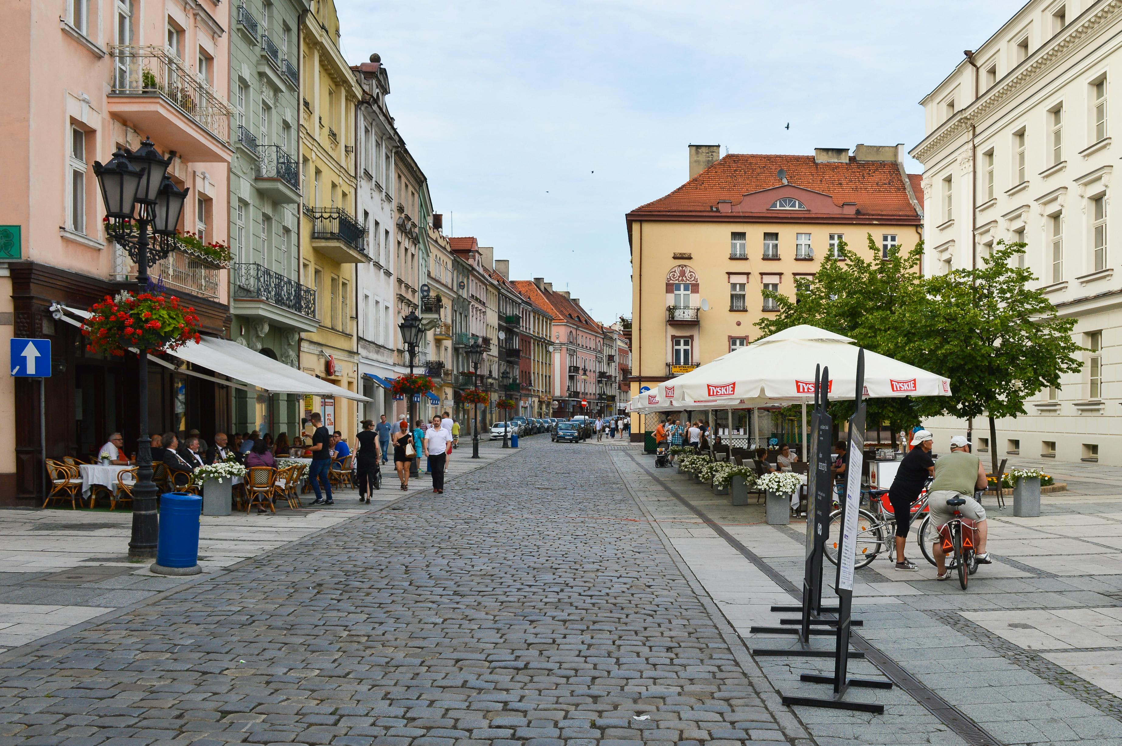 Sustainable Farming in South Bay