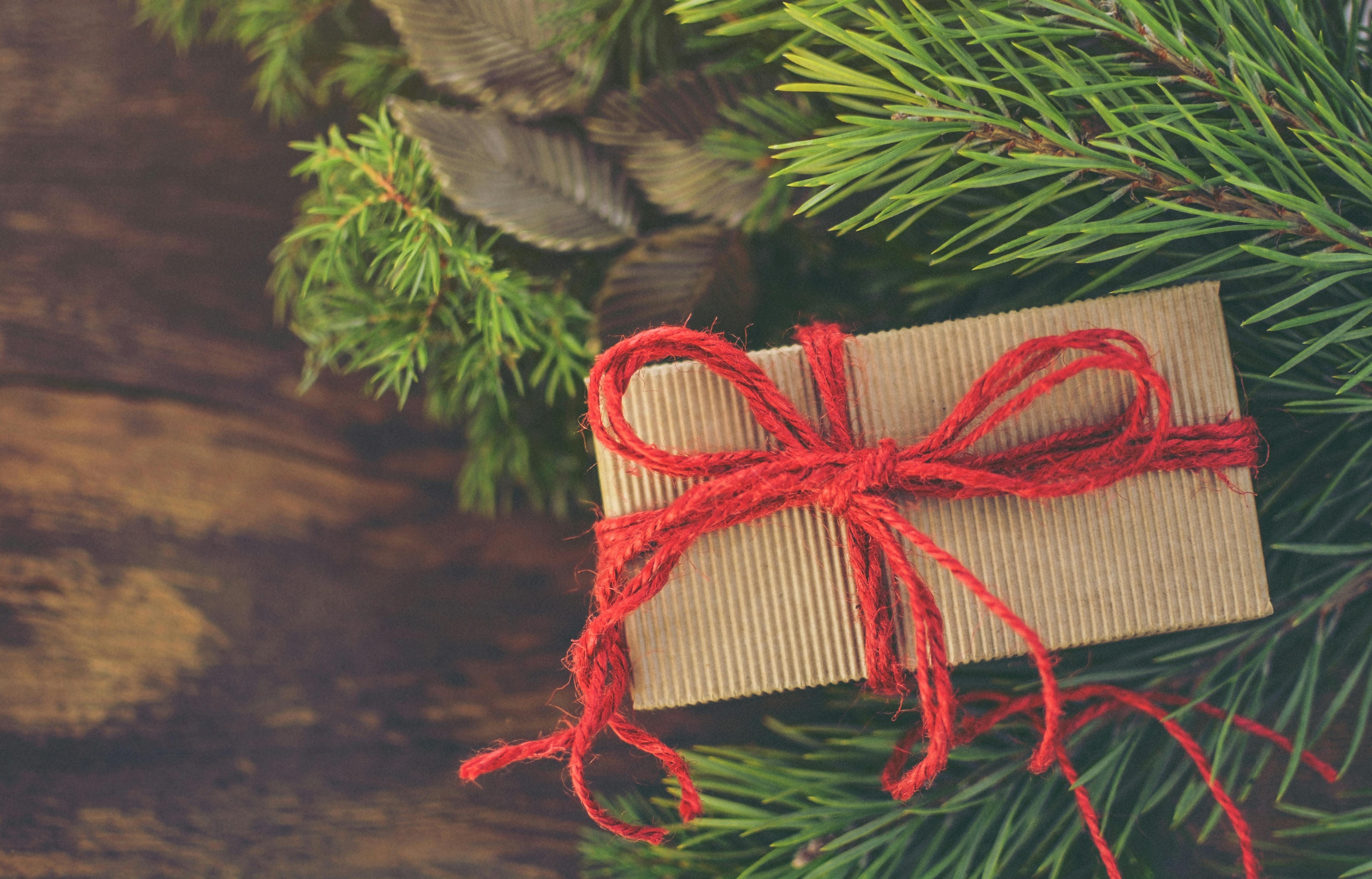 Buy Best Christmas Gift For Friends Funny Secret Santa Gifts Coffee Mug –  Nutcase