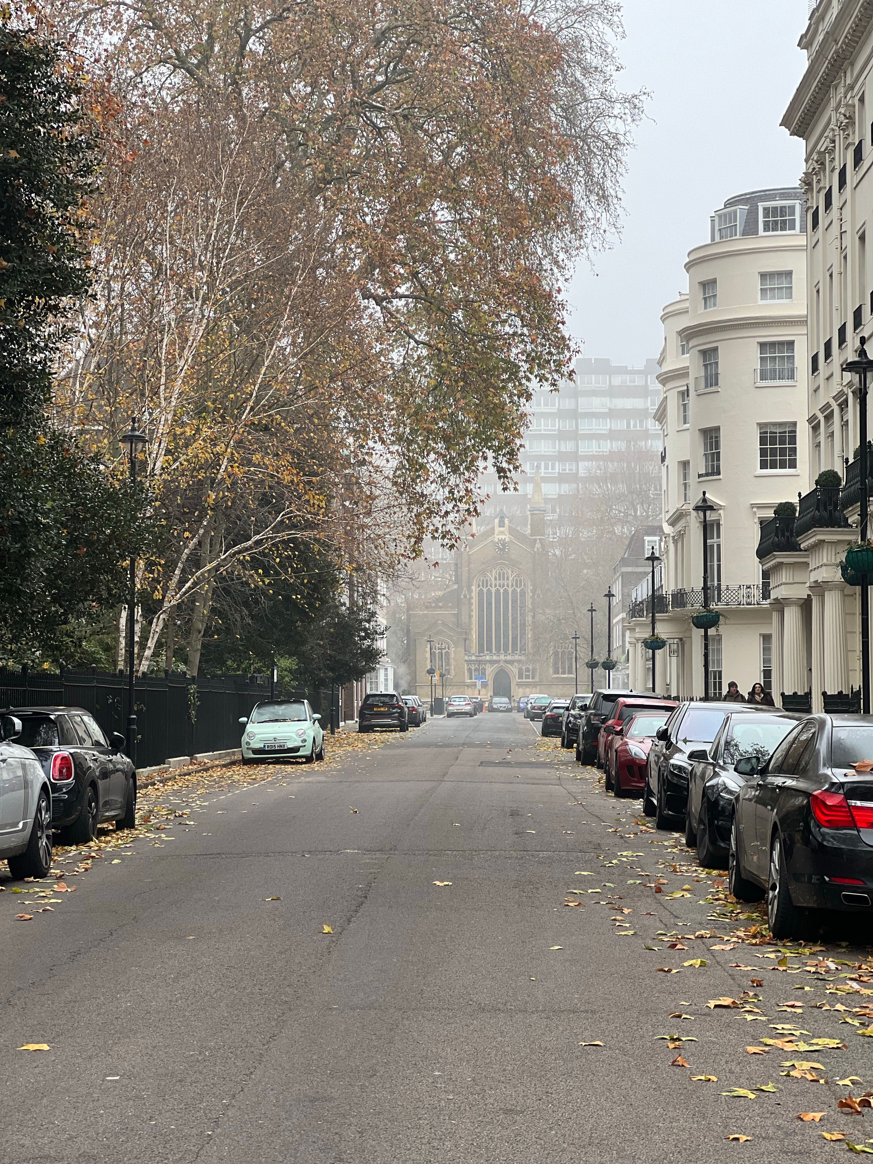 A serene autumn street in an urban setting lined with parked cars and classic architecture, perfect for cityscape themes.