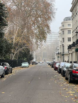 A serene autumn street in an urban setting lined with parked cars and classic architecture, perfect for cityscape themes.
