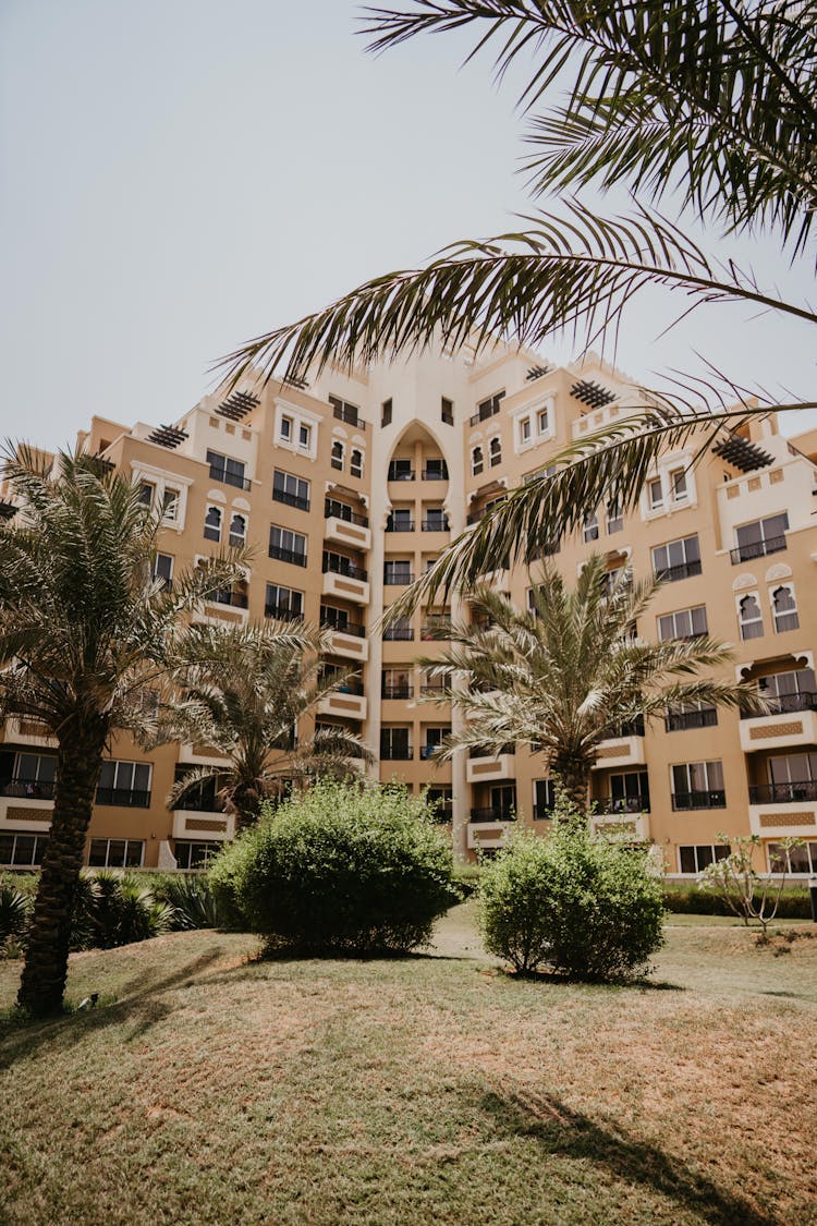 Palm Trees Outside Rixos Bab Al Bahr Hotel