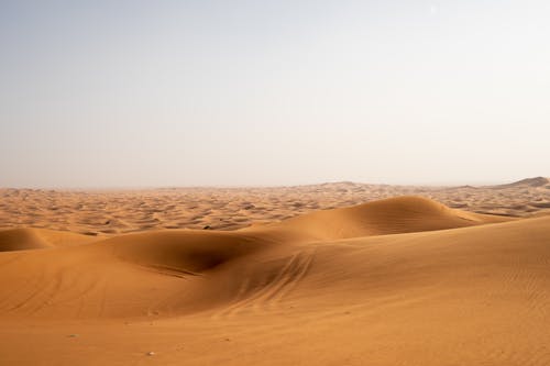Brown Sand in the Desert
