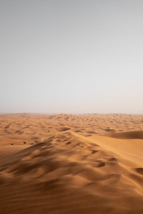 A desert landscape with sand dunes and a sky