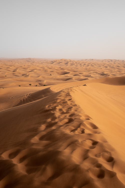  Sand Dune on Desert with Footprints