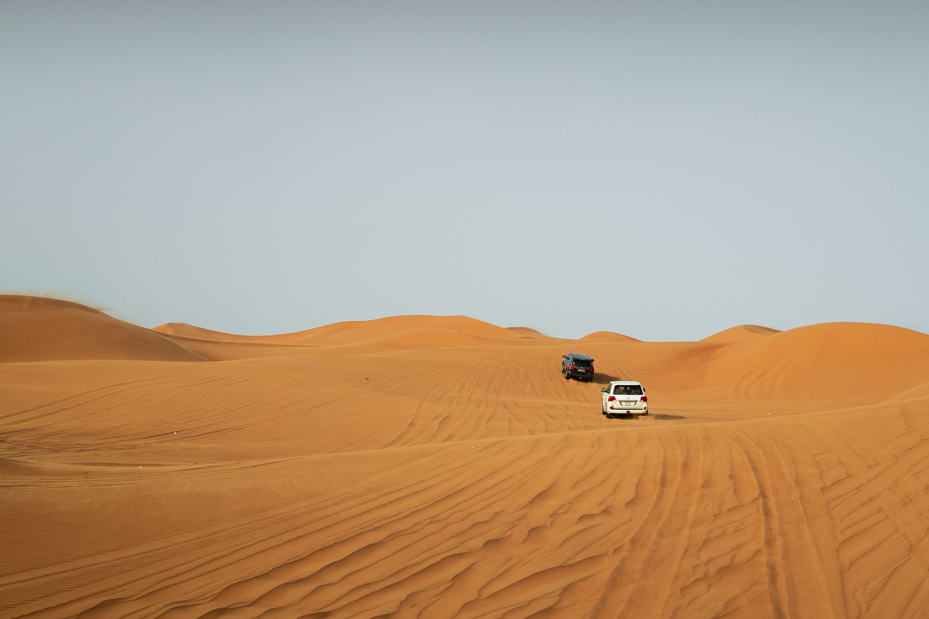 Two white 4x4s crossing golden dunes on a morning desert safari in Dubai under a clear blue sky