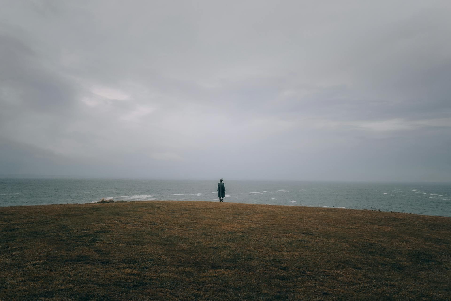 A person standing on a hill overlooking the ocean