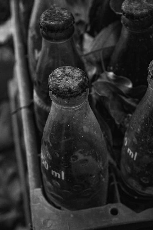 Soda Glass Bottles on Case