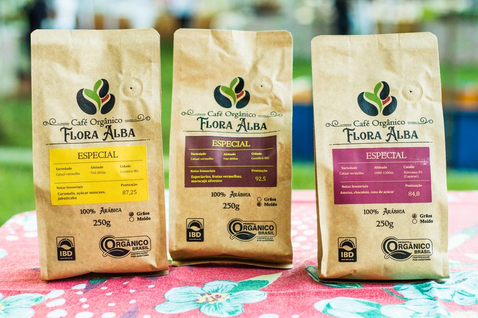 Sourcing and Sustainability: Choosing Ethical Coffee for a Morning Ritual