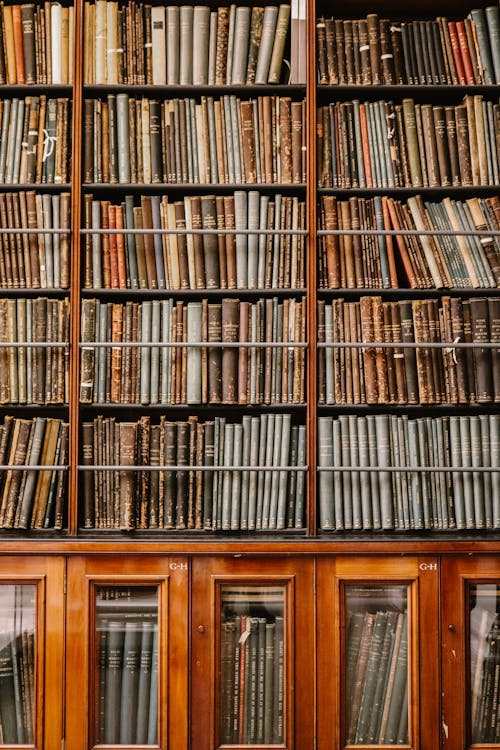 Bookshelf in a Library 